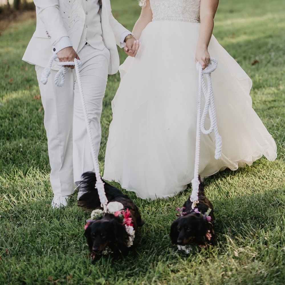 1 white rope dog leash